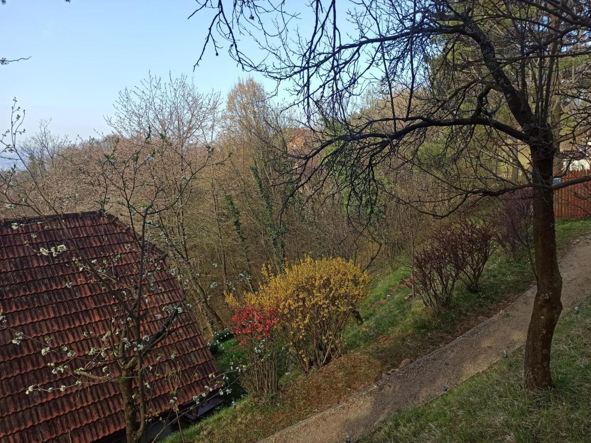 Serenity Dramlje Exteriör bild